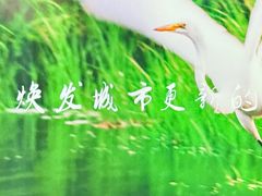 -中国湿地博物馆