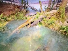 -国家自然博物馆