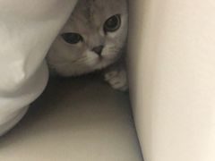 -爱侣宠医·鹦鹉专科·小型哺乳类·异宠专科(灵石路店)