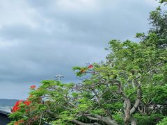 -漳州滨海火山岛自然生态风景区