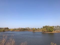 -东郊湿地公园