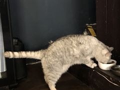 -不舍昼夜咖啡馆