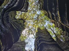 -梭布垭石林景区