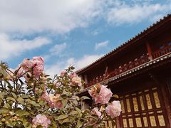 -云南民族村