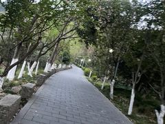 -峙山公园