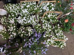 -循礼门鲜花花市(武汉循礼门店)