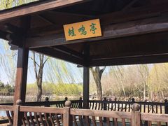 -大兴滨河森林公园