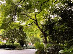 -杭州半山国家森林公园