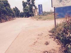 -广东茂名森林公园