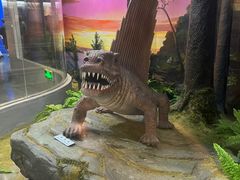 -国家自然博物馆