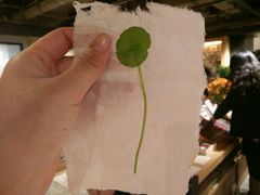 -猫的天空之城概念书店(苏州诚品店)
