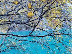 -叠溪松坪沟景区