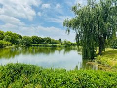 -旭宝高尔夫俱乐部