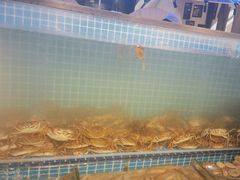 -海天盛宴潮汕蒸汽海鲜高端自助形象店