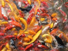 -泰安地下龙宫景区