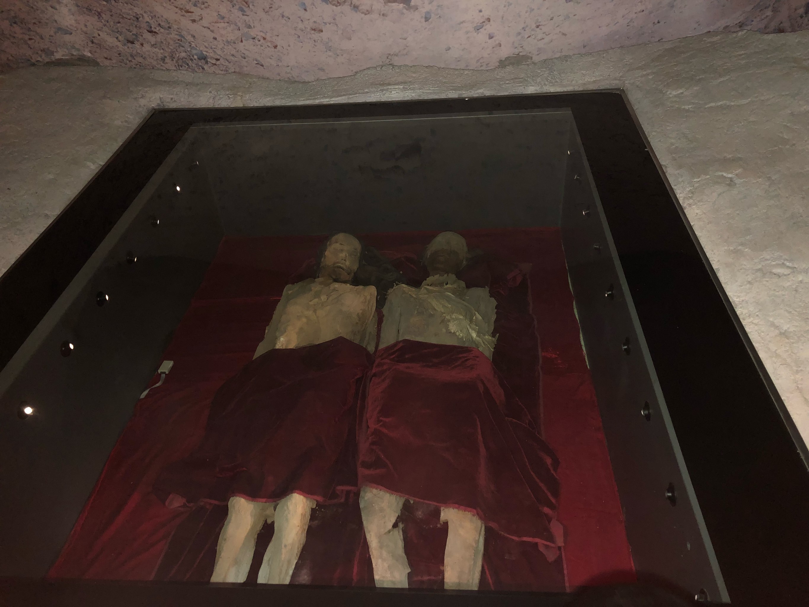 走到哪里,博物馆看到哪里