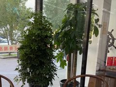 -正沅堂正骨推拿·功效养生(总店)