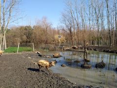 -溱湖国家湿地公园