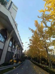 -重庆安琪儿妇产医院-妇幼保健联盟医院