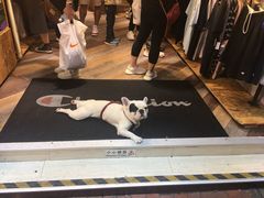 -花园街
