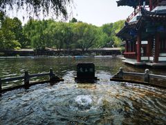 -百脉泉景区