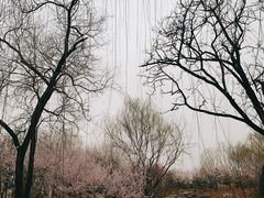 -北坞公园