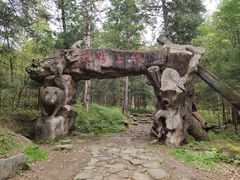 -五营红松林海景区