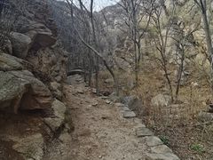 -大岭沟猕猴桃谷风景区