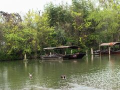 -西溪国家湿地公园