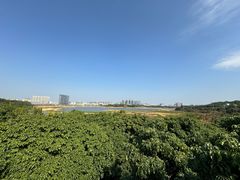 -立新湖公园
