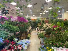 -双季花艺园艺市场(浦东店)