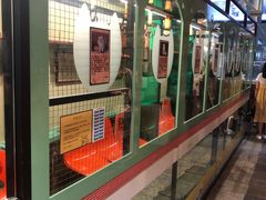 -猫咪博物馆(顶澳仔猫街店)