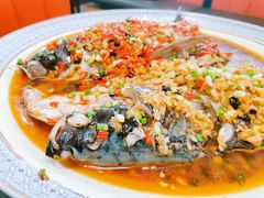 剁椒鱼头-聂记粤菜馆(鼓西路店)