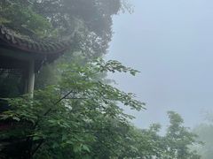 -莫干山风景区