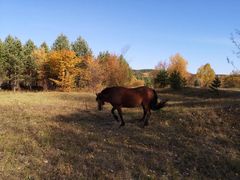-北极村旅游风景区