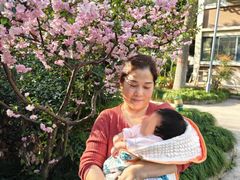 -葱妈母婴医护月嫂中心(浦东店)