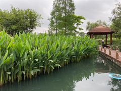 -那考河湿地公园