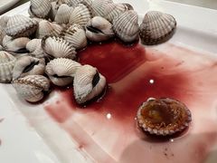 -华盛丰温州大排档(东三环南路店)