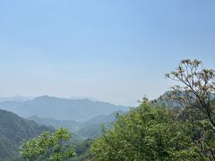 -大岭沟猕猴桃谷风景区