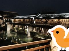-乌镇西栅景区