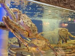 -鱼乐轩海鲜专门店