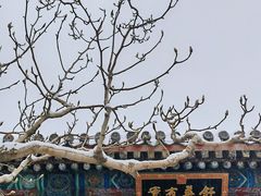 -颐和园