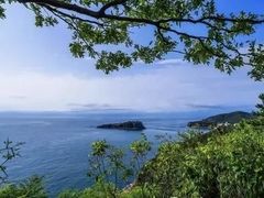 -棒棰岛宾馆景区