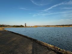 -春花秋色城市公园