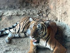 -杭州野生动物世界