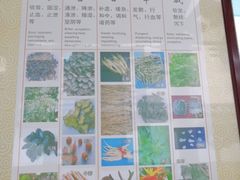 -广州神农草堂中医药博物馆