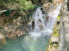 -仙店农庄(湖景农庄餐厅)