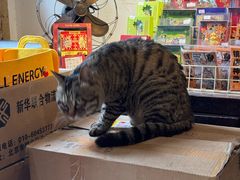 -正阳书局(西四南大街店)