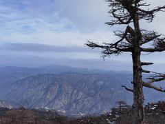 -秦岭风景区