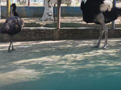 -武汉紫薇都市田园